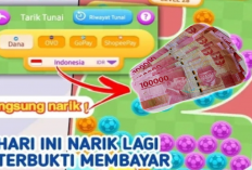 Main Game, Dapat Saldo DANA Tanpa Modal! Cara Ini Wajib Kamu Coba!