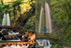 Menelusuri Keindahan Air Terjun Pringgodani, Destinasi Wisata Alam di Karanganyar!