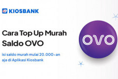 Mencoba 4 Aplikasi Penghasil Saldo OVO dan Ini 5 Aplikasi Penghasil Saldo DANA 2025