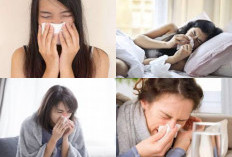 Kamu Lagi Flu? Atasi 5 Tips Ini Untuk Mengatasi Flu Yang Mengganggu Keseharian Anda