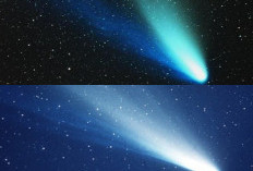 Ayo Bongkar Rahasia Jejak Mikroba di Debu Komet yang Bikin Ilmuwan Terkejut