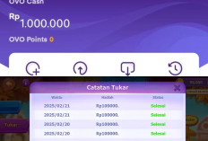 Cuma Kumpulin Koin, Bisa Dapat Rp750.000 ke OVO Kamu! Begini Cara Mainnya!