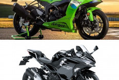 Kawasaki Ninja 250 2026 Resmi Meluncur: Fitur Keyless dan Performa Makin Buas di Kelas Sport 250cc