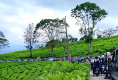 Pengamanan Wisata Gunung Dempo Diperketat