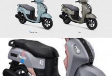 Yamaha Fazzio Hybrid 2026 Tampil Lebih Nyentrik dengan Warna “Crazee”, Gen Z Auto Kepincut