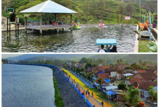 Pesona Wisata Alam Brebes Ini Dijamin Bikin Staycation Makin Seru dan Menyenangkan