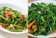 Resep Menarik Nih Guys! Cobain Resep Tumis Kangkung dan Cumi Yang Spesial Untuk Makan Siang! 