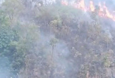 Kebakaran Hutan di Liku Endikat Nyaris Capai Perkebunan Warga