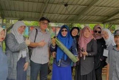 ULD Dorong UMKM Pagar Alam Naik Kelas Lewat Digital Marketing