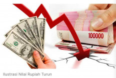 Dolar makin gagah,rupiah makin merana?