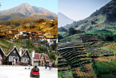 Pesona Tawangmangu, Grojogan Sewu, Candi Cetho, dan Taman Gunung Lawu!