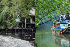 Dibalik Keindahannya, Misteri Taman Nasional Berbak Apa yang Sebenarnya Terjadi di Hutan Rawa Ini?