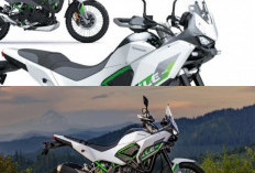 Kawasaki KLE500, Motor Adventure Terbaik 2026 dengan Performa Tangguh, Ini Kelebihannya!