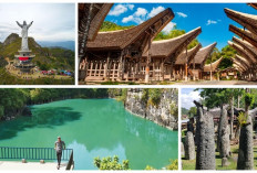 Rekomendasi 7 Tempat Wisata di Toraja Memikat Wisatawan yang Wajib Dikunjungi!