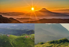 Gunung Pangradinan: Menikmati View Padang Rumput ala Bukit Teletubbies di Kabupaten Bandung!