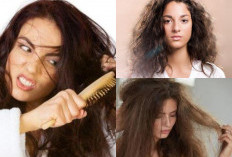 Ladies Wajib Simak, Berikut Inilah 8 Cara Sederhana Mengatasi Rambut Mengembang di Rumah
