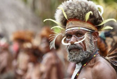 Keren Banget, Ini Perbedaan Antara Suku Papua dan Kalimantan! Ada Apa Yah?