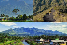 Menjelajahi Keajaiban Alam Gunung Galunggung, Surga di Tasikmalaya!