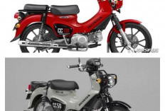 Resmi Meluncur! Honda Cross Cub 110 2026 Bawa Fitur Baru yang Lebih Segar, Berapa Harganya