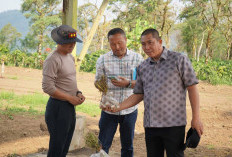 Dukung Swasembada Pangan Nasional