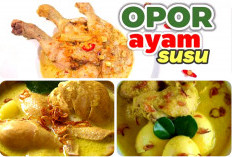 Ngga Bikin Eneg! Ini Resep Opor Ayam Susu Gurih dan Creamy