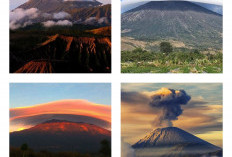 Mistis di Ketinggian, Cerita Seram dari Pendakian ke 7 Gunung Angker Indonesia