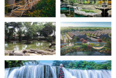 Jarang Diketahui! Ini 9 Destinasi Wisata Alam Kekinian hingga Spot Foto yang Keren Abiss di Bekasi 
