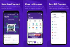 Banyak yang Nggak Tau, Ini 4 Aplikasi Penghasil Saldo OVO yang Harus Anda Coba