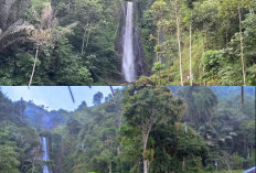 Keindahan Curug Cikurutug, Menikmati Pemandangan Air Terjun di Tengah Alam!