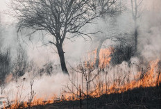 Desak Pemerintah Evaluasi Izin Korporasi