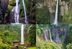 Menelusuri Keindahan Air Terjun Tertinggi di Indonesia, 6 Pesona yang Tak Terlupakan!