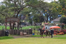 De Ranch, Serunya Hidup Koboi di Lembang, Jawa Barat