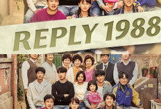 Mengenang Masa Lalu Bersama Reply 1988 Sinopsis dan Pemeran Utama