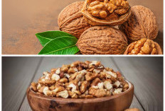 Apa Itu Kacang Walnut dan 5 Khasiat Luar Biasa untuk Jantung hingga Fungsi Otak