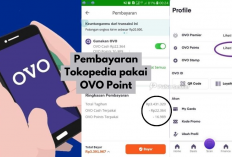 Cara Cerdas Mendapatkan OVO Gratis dari Shopee, Tokopedia, dan Grab – Kamu Wajib Coba!