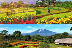 Flowers Garden Camp Hulu Cai, Surga Tersembunyi untuk Liburan Asri di Bogor