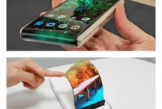 Ponsel dengan Layar Ekstrem yang Berbeda