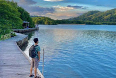 Luar Biasa Keren Abis, Inilah 5 Rekomendasi Destinasi Wisata di Lampung, yang Wajib Dikunjungi di Tahun 2024