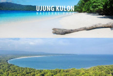 Fakta Menarik Tentang Taman Nasional Ujung Kulon, Surga Tersembunyi di Ujung Barat Jawa