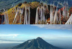 Rahasia di Balik Puncak Gunung Lawu, Keindahan dan Keangkeran!