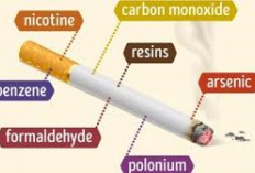 Mengenal 4 Zat Berbahaya dalam Rokok: Apa Saja yang Merugikan Kesehatan Kita?