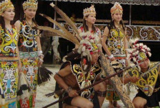 Wajib Diketahui, Ini 7 Pakaian Tradisional Suku Kalimantan