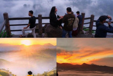 Negeri Awan di Bandung, Destinasi Wisata yang Menakjubkan di Puncak Gunung