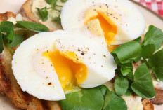 5 Protein Berkualitas Tinggi Telur Setengah Masak Sebagai Sumber Nutrisi Utama