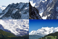 Fakta Menarik Tentang Ekosistem dan Keanekaragaman Hayati di Pegunungan Alpen!