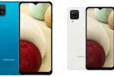 Review Samsung Galaxy A12, Ponsel Samsung Lama yang Masih Menarik Ditahun 2026!