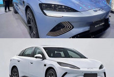 Rekor Gila! BYD Catat 100 Ribu Pemesanan Hanya dalam 14 Hari, Apa Rahasia di Baliknya