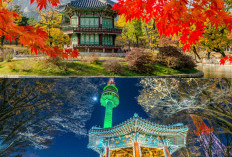 Wisata Korea Selatan yang Mengagumkan, 5 Lokasi dari Drama Korea yang Wajib Dikunjungi!