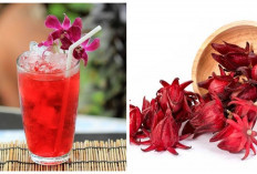 Ketahui! Inilah Manfaat Rosela untuk Kesehatan