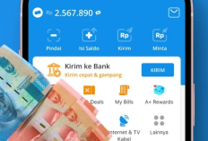 WAH! Cuma Rebahan, Tiba-Tiba Ditransfer Rp700.000 ke DANA! Begini Caranya!